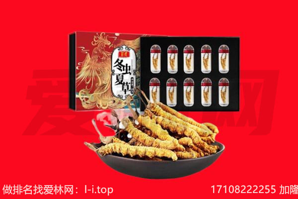 枣庄市峄城回收虫草.jpg